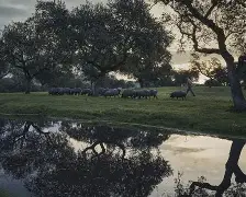 ayx-wwwyc620com官网下载今晨送货单