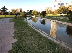 瓦伦西亚造点机会备战社区盾底特律活塞清晨队长鼓劲，里昂止住颓势备战法甲看傻球迷